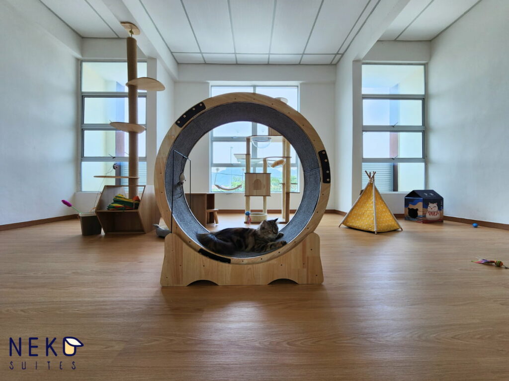 Bilik Permainan Di Hotel Kucing Neko Suites, Ipoh