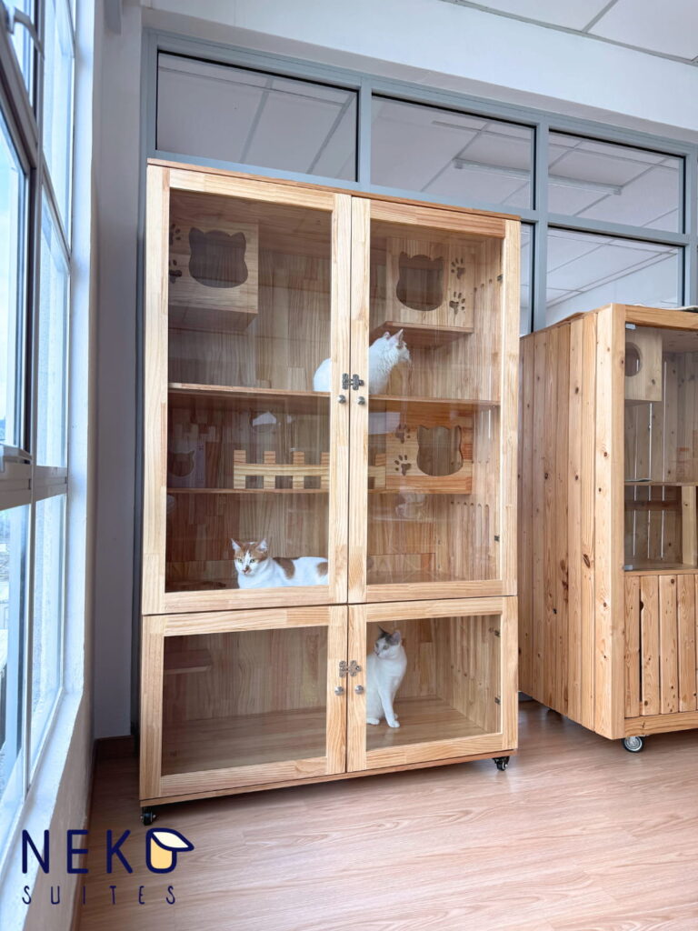 Front View Of The Jumbo Suite At Neko Suites Cat Hotel