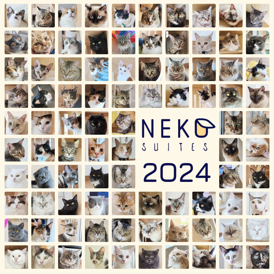 Our Happy Customers 2024 - Neko Suites Cat Hotel